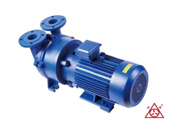 2BV水環探花精品在线